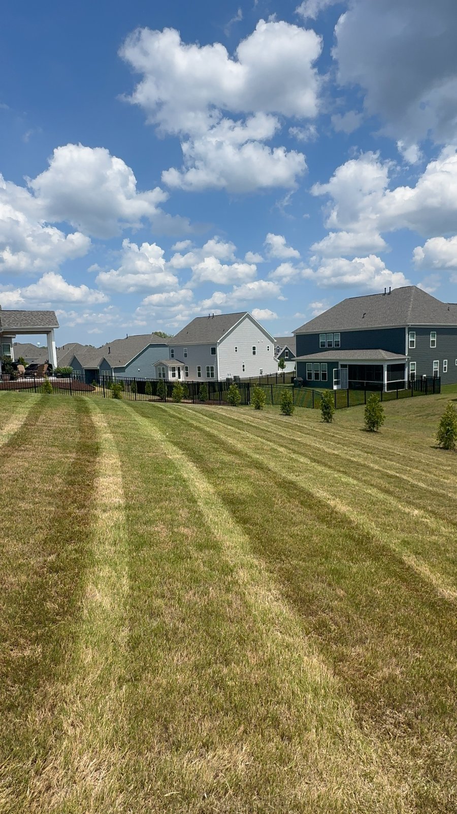 Full Property Care